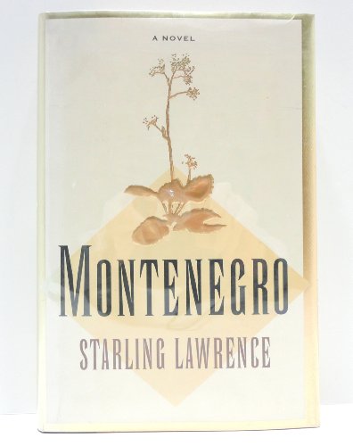 Imagen de archivo de Montenegro: A Novel a la venta por Wonder Book