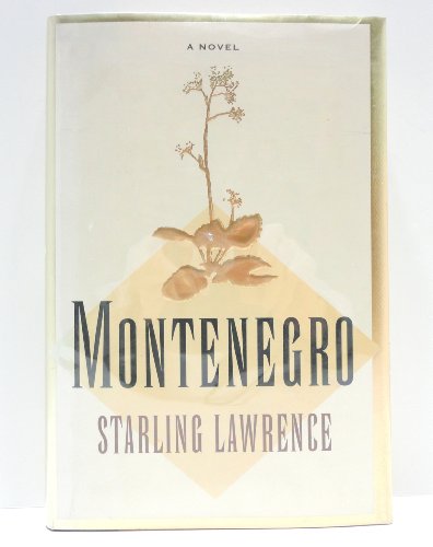 Stock image for Montenegro: A Novel for sale by Wonder Book