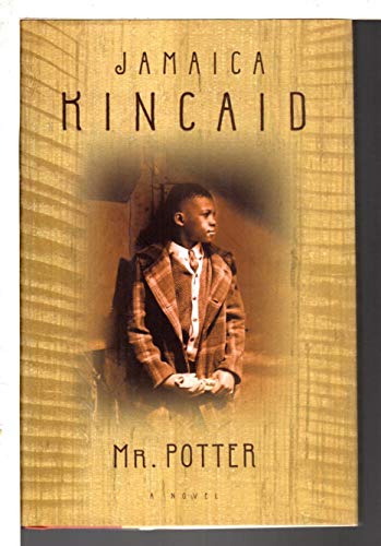 Beispielbild fr Mr. Potter: A Novel zum Verkauf von Gulf Coast Books