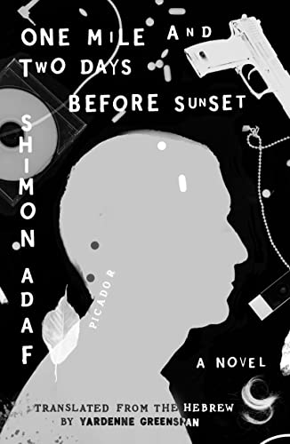Imagen de archivo de One Mile and Two Days Before Sunset: A Novel (The Lost Detective Trilogy, 1) a la venta por ZBK Books