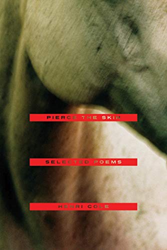 Beispielbild fr Pierce the Skin : Selected Poems, 1982-2007 zum Verkauf von Better World Books