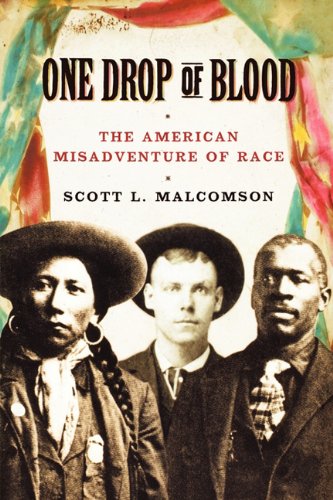 Beispielbild fr One Drop of Blood : The American Misadventure of Race zum Verkauf von Better World Books