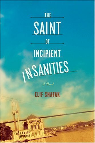 9780374253578: The Saint of Incipient Insanities
