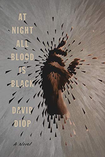 Imagen de archivo de At Night All Blood Is Black: A Novel a la venta por Zoom Books Company
