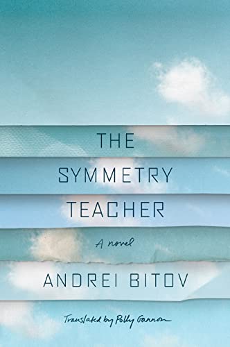 Stock image for The Symmetry Teacher : A Novel for sale by Better World Books: West