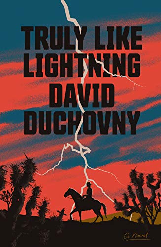 Stock image for Truly Like Lightning: A Novel for sale by Magus Books Seattle