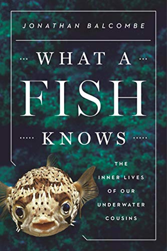 Stock image for What a Fish Knows: The Inner Lives of Our Underwater Cousins for sale by Ergodebooks