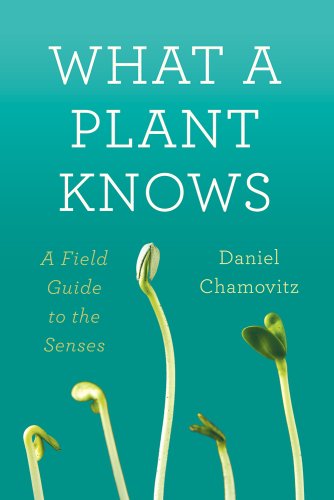 Stock image for What a Plant Knows: A Field Guide to the Senses for sale by Roundabout Books