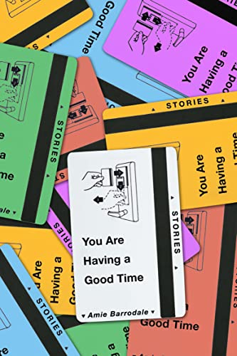 9780374293864: You Are Having a Good Time: Stories