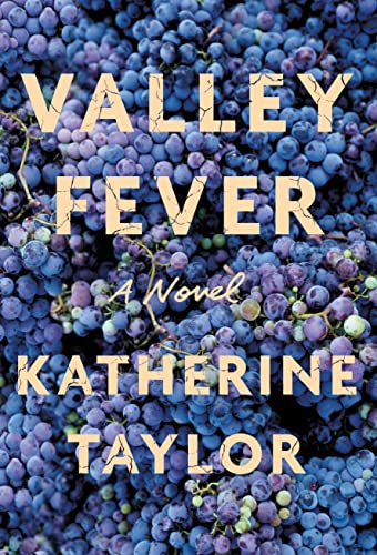 Beispielbild fr Valley Fever : A Novel zum Verkauf von Better World Books