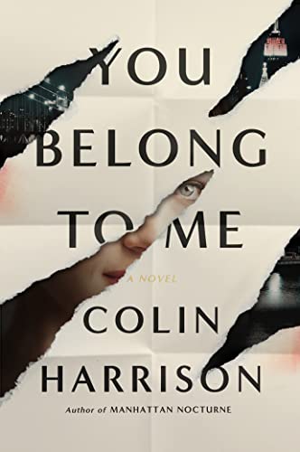 Beispielbild fr You Belong to Me: A Novel zum Verkauf von Wonder Book