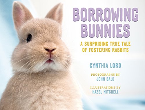 9780374308414: Borrowing Bunnies: A Surprising True Tale of Fostering Rabbits