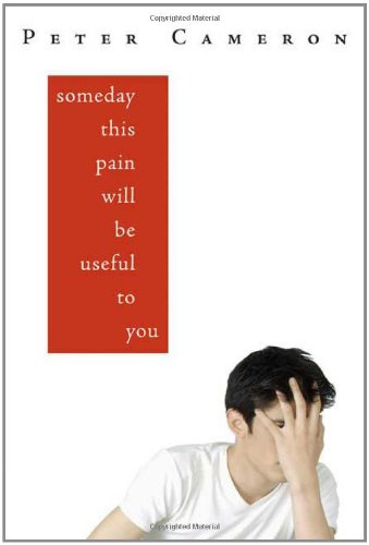 9780374309893: Someday This Pain Will Be Useful to You