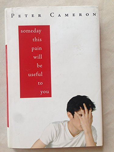 Someday This Pain Will Be Useful to You: A Novel (9780374309893) by Cameron, Peter