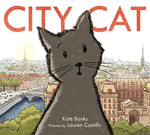 Beispielbild fr City Cat zum Verkauf von PlumCircle