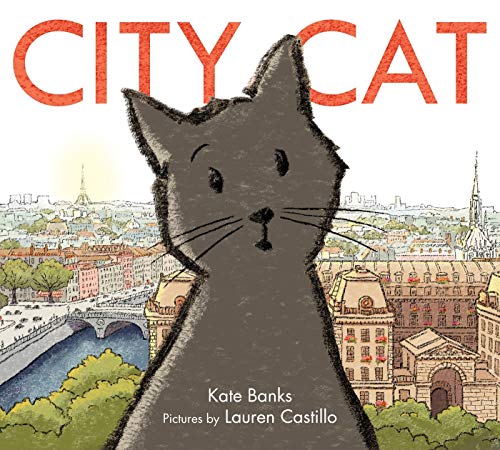 9780374313210: City Cat