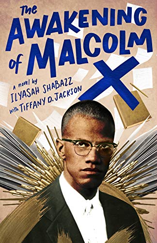 Beispielbild fr The Awakening of Malcolm X: A Novel zum Verkauf von Dream Books Co.