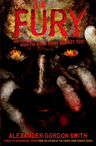 Beispielbild fr The Fury zum Verkauf von Wonder Book