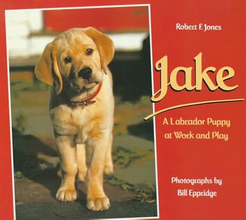 Stock image for Jake: A Labrador Puppy at Work and Play for sale by Wonder Book