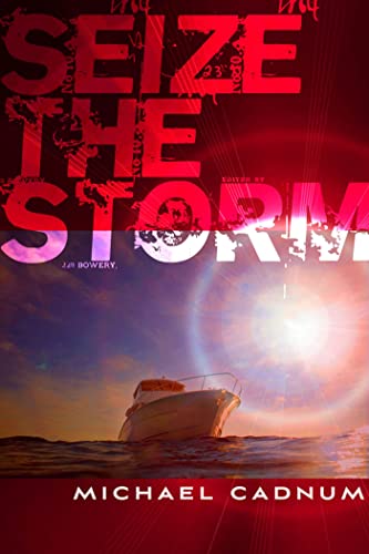 Beispielbild fr Seize the Storm zum Verkauf von Gulf Coast Books