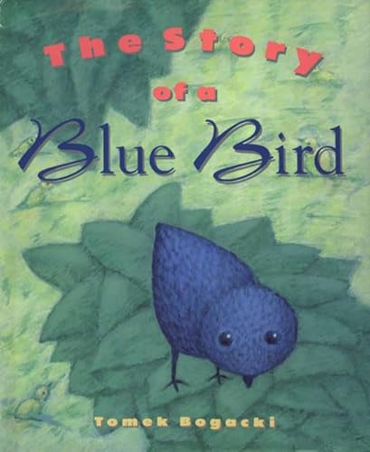 Beispielbild fr The Story of a Blue Bird zum Verkauf von Better World Books