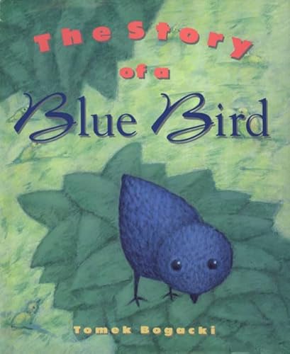 Stock image for The Story of a Blue Bird for sale by Better World Books