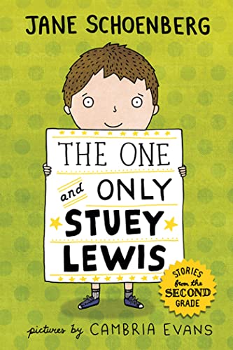 9780374372927: The One and Only Stuey Lewis: Stories from the Second Grade
