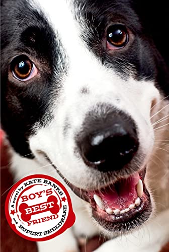 Beispielbild fr Boy's Best Friend zum Verkauf von SecondSale