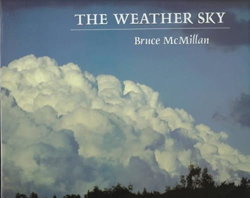 Beispielbild fr The Weather Sky zum Verkauf von Better World Books