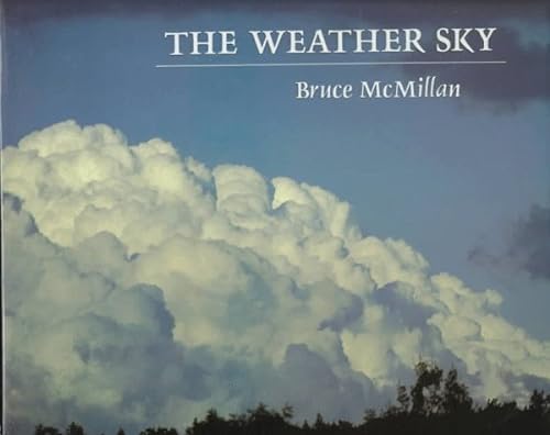 Stock image for The Weather Sky for sale by Better World Books