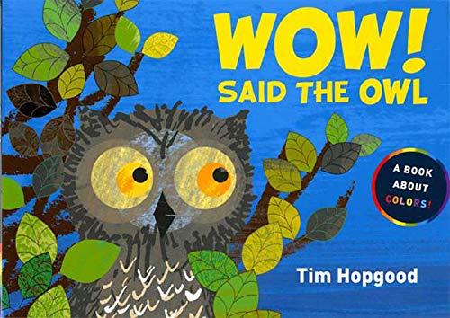 9780374385187: Wow! Said the Owl: A Book about Colors