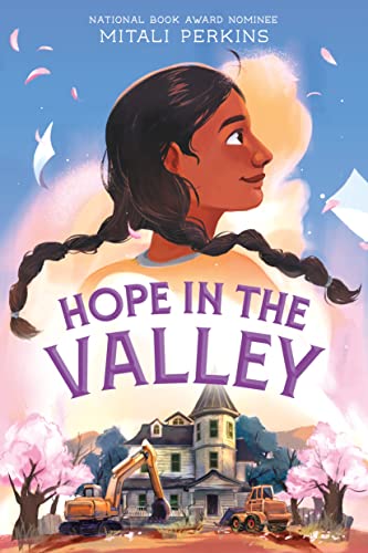 Beispielbild fr Hope in the Valley zum Verkauf von PlumCircle