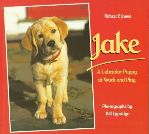 Stock image for Jake: A Labrador Puppy at Work and Play (A Sunburst Book) for sale by Wonder Book