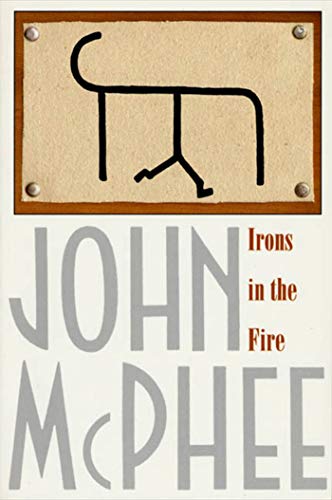 9780374525453: Irons in the Fire [Idioma Ingls]
