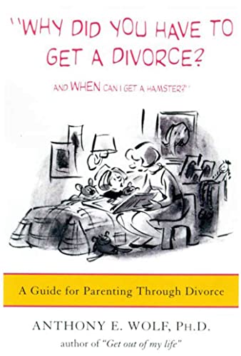 Imagen de archivo de Why Did You Have to Get a Divorce? And When Can I Get a Hamster?: A Guide to Parenting Through Divorce a la venta por Gulf Coast Books