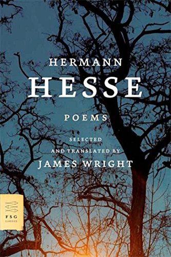 9780374526412: Poems (English and German Edition)