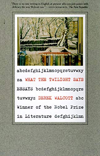 Stock image for What the Twilight Says: Essays for sale by Blue Vase Books