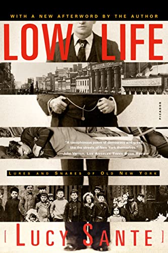 Beispielbild fr Low Life: Lures and Snares of Old New York zum Verkauf von More Than Words
