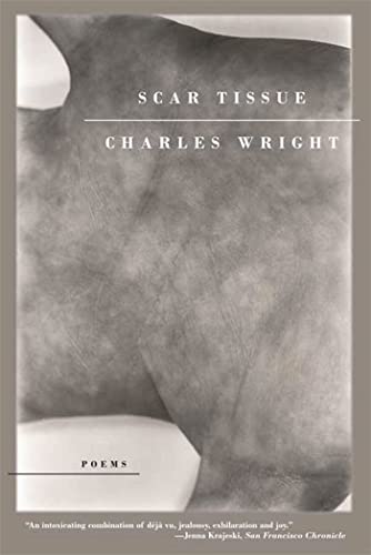 9780374530839: Scar Tissue: Poems