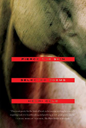 Beispielbild fr Pierce the Skin: Selected Poems, 1982-2007 zum Verkauf von WorldofBooks