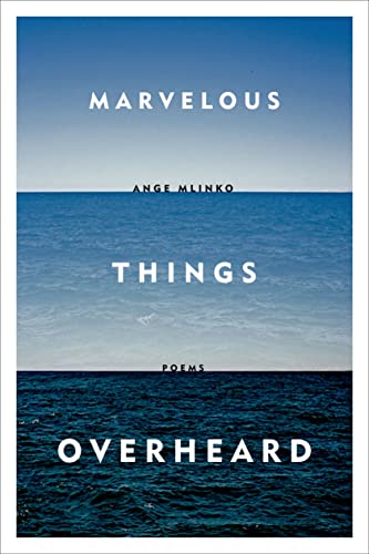 9780374534806: Marvelous Things Overheard