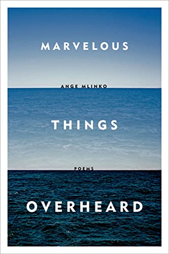 9780374534806: Marvelous Things Overheard: Poems