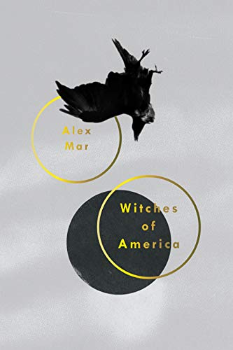Imagen de archivo de Witches of America a la venta por Bookoutlet1