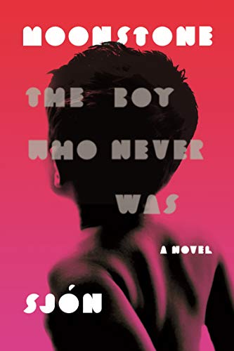 9780374536923: Moonstone: The Boy Who Never Was: A Novel