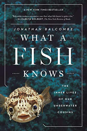 Stock image for What a Fish Knows: The Inner Lives of Our Underwater Cousins for sale by KuleliBooks