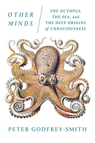 9780374537197: Other Minds: The Octopus, the Sea, and the Deep Origins of Consciousness