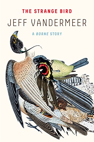 the strange bird jeff vandermeer the strange bird jeff vandermeer