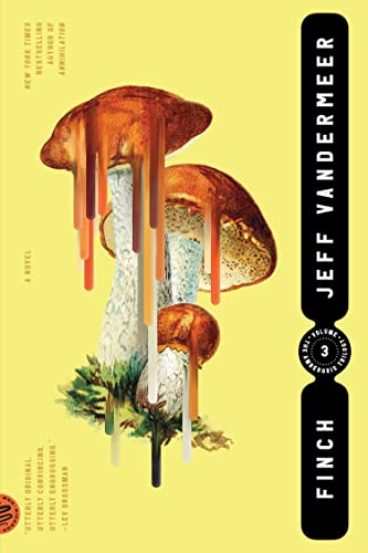 9780374538613: Finch: Jeff Vandermeer: 3 (Ambergris Trilogy)