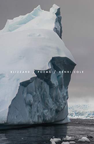 Stock image for Blizzard: Poems for sale by BookOutlet
