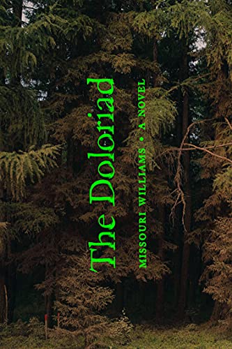 Imagen de archivo de The Doloriad: A Novel a la venta por Goodwill Books